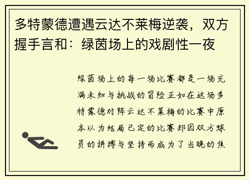多特蒙德遭遇云达不莱梅逆袭，双方握手言和：绿茵场上的戏剧性一夜